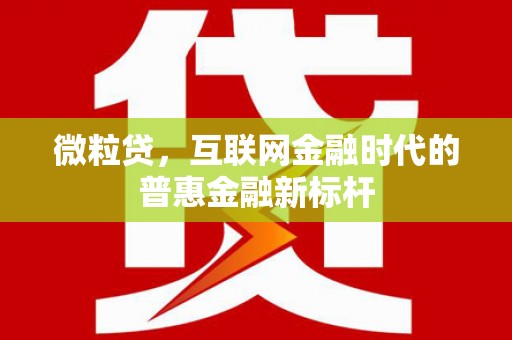 十堰微粒贷，互联网金融时代的普惠金融新标杆