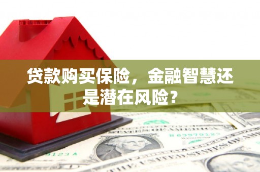 泰顺贷款购买保险，金融智慧还是潜在风险？