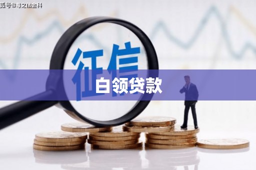 沾化白领贷款