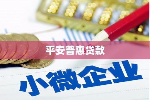 小港平安普惠贷款