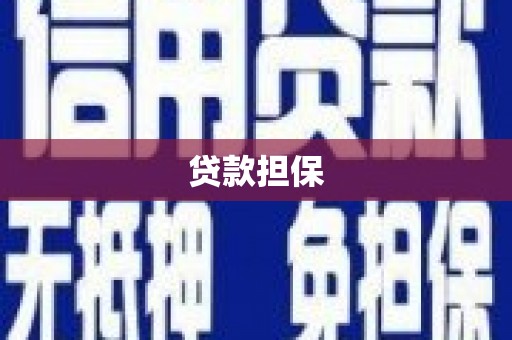 乐东贷款担保
