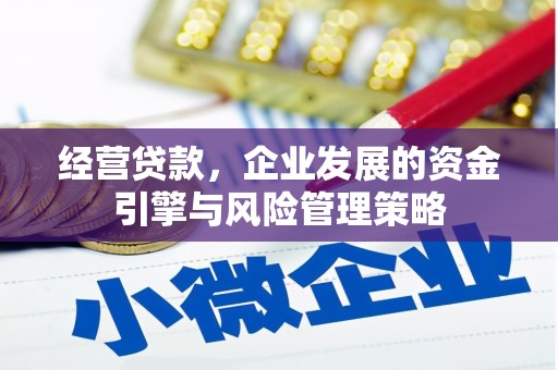 西吉经营贷款，企业发展的资金引擎与风险管理策略