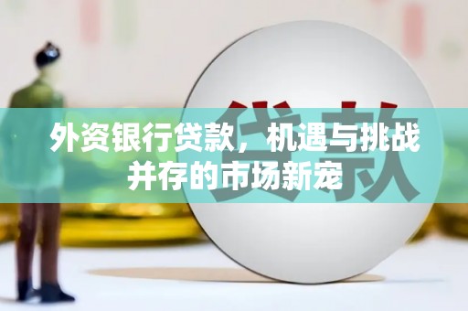 盐山外资银行贷款，机遇与挑战并存的市场新宠