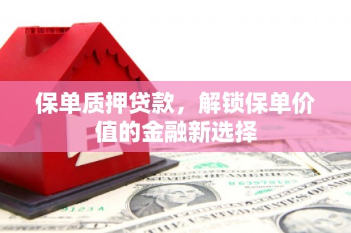 边坝保单质押贷款，解锁保单价值的金融新选择