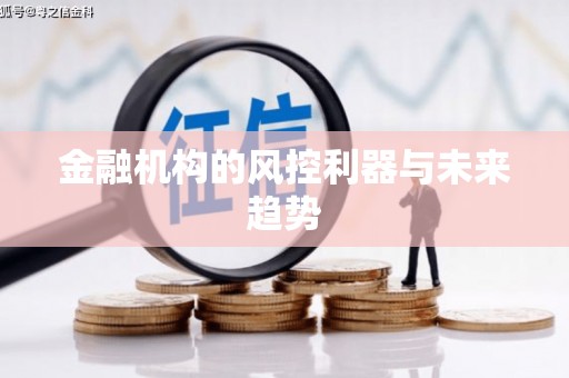 天长金融机构的风控利器与未来趋势
