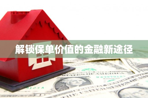 修文解锁保单价值的金融新途径