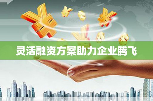 拉孜灵活融资方案助力企业腾飞