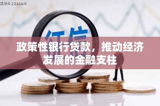 交口政策性银行贷款，推动经济发展的金融支柱