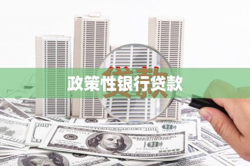 惠东政策性银行贷款