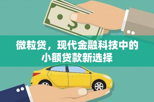 光明新区微粒贷，现代金融科技中的小额贷款新选择