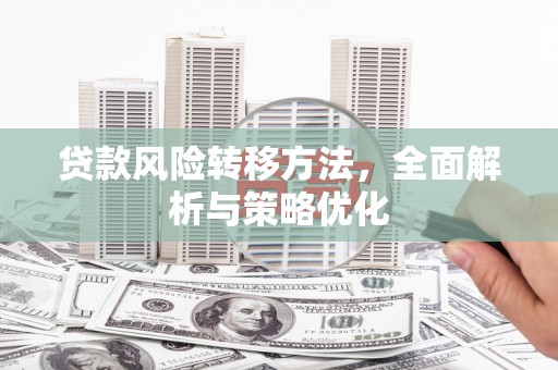 马尔康贷款风险转移方法，全面解析与策略优化