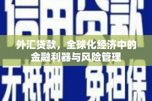 法库外汇贷款，全球化经济中的金融利器与风险管理