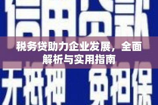 邵武税务贷助力企业发展，全面解析与实用指南