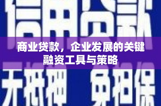 八宿商业贷款，企业发展的关键融资工具与策略
