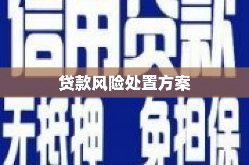 武汉贷款风险处置方案