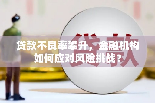 沈丘贷款不良率攀升，金融机构如何应对风险挑战？