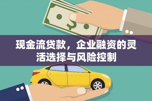 镇安现金流贷款，企业融资的灵活选择与风险控制