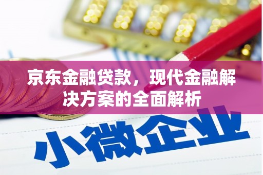 普兰店京东金融贷款，现代金融解决方案的全面解析