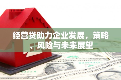 石屏经营贷助力企业发展，策略、风险与未来展望