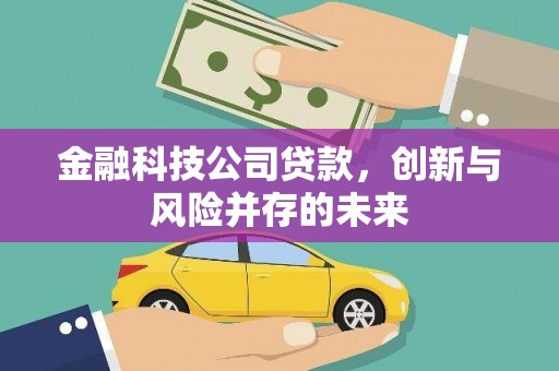 柳东金融科技公司贷款，创新与风险并存的未来