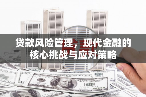 云梦贷款风险管理，现代金融的核心挑战与应对策略