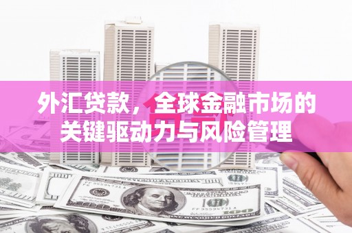山阴外汇贷款，全球金融市场的关键驱动力与风险管理