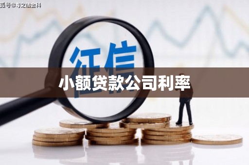 石排小额贷款公司利率