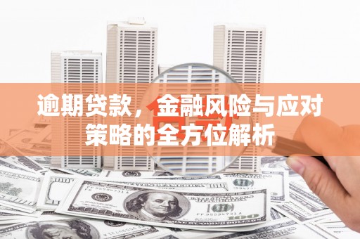 玉山逾期贷款，金融风险与应对策略的全方位解析