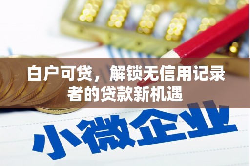 西华白户可贷，解锁无信用记录者的贷款新机遇