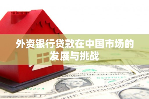 海拉尔外资银行贷款在中国市场的发展与挑战