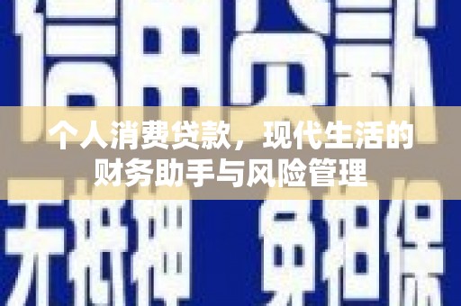 分宜个人消费贷款，现代生活的财务助手与风险管理