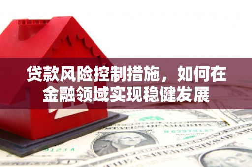 紫阳贷款风险控制措施，如何在金融领域实现稳健发展