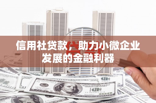 东乡信用社贷款，助力小微企业发展的金融利器