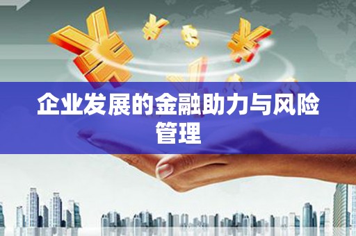云龙企业发展的金融助力与风险管理
