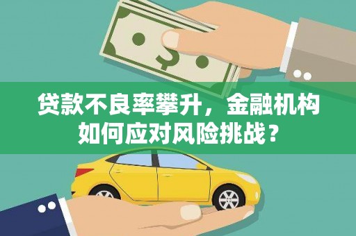 秦安贷款不良率攀升，金融机构如何应对风险挑战？