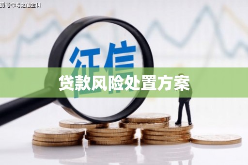 临翔贷款风险处置方案