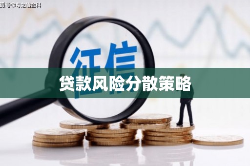 临安贷款风险分散策略