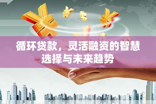 双牌循环贷款，灵活融资的智慧选择与未来趋势