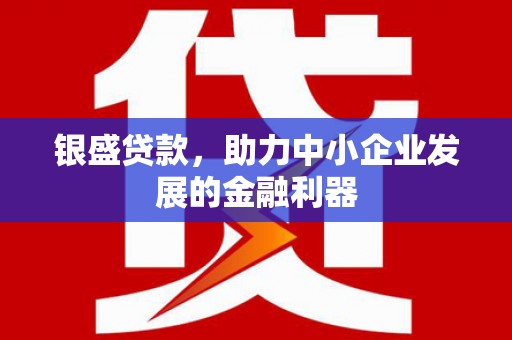 山阳银盛贷款，助力中小企业发展的金融利器