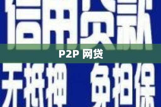舟山新区P2P 网贷