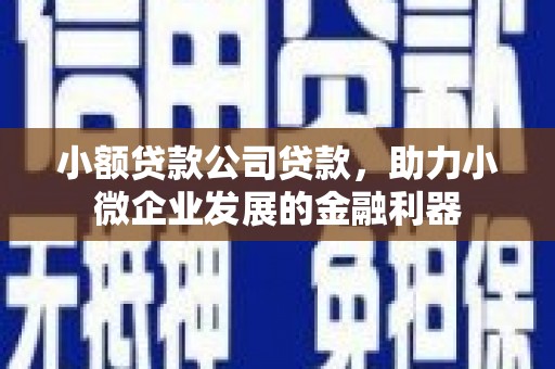 桐城小额贷款公司贷款，助力小微企业发展的金融利器