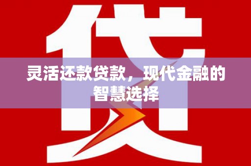 莎车灵活还款贷款，现代金融的智慧选择