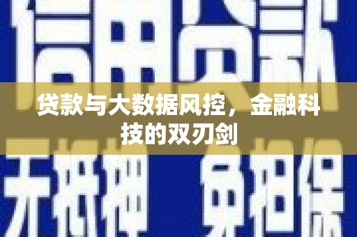 和县贷款与大数据风控，金融科技的双刃剑