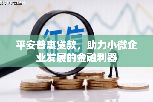河南平安普惠贷款，助力小微企业发展的金融利器