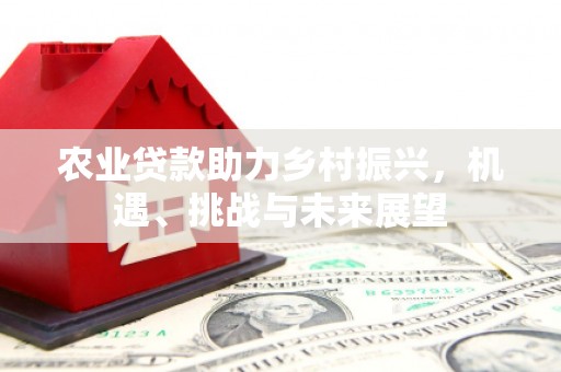 鹿谷农业贷款助力乡村振兴，机遇、挑战与未来展望