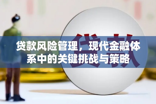 南涧贷款风险管理，现代金融体系中的关键挑战与策略