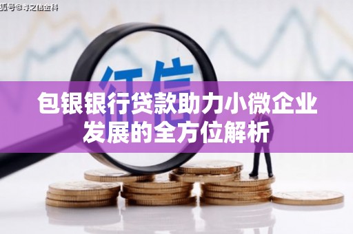 南雄包银银行贷款助力小微企业发展的全方位解析