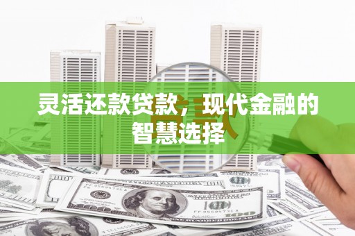 文安灵活还款贷款，现代金融的智慧选择