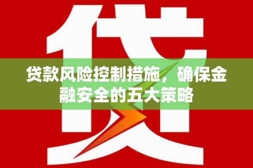 赫山贷款风险控制措施，确保金融安全的五大策略