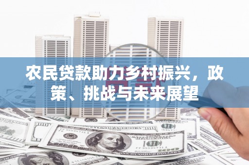 东西湖农民贷款助力乡村振兴，政策、挑战与未来展望